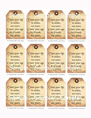 T16 - Friendship Angel Hang Tag